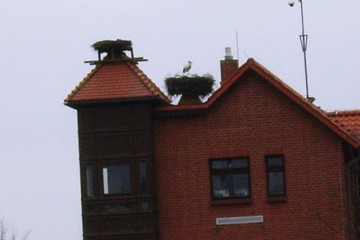 16 Storchendorf Ruehstaedt_Blick auf Besucherzentrum mit Stochennest